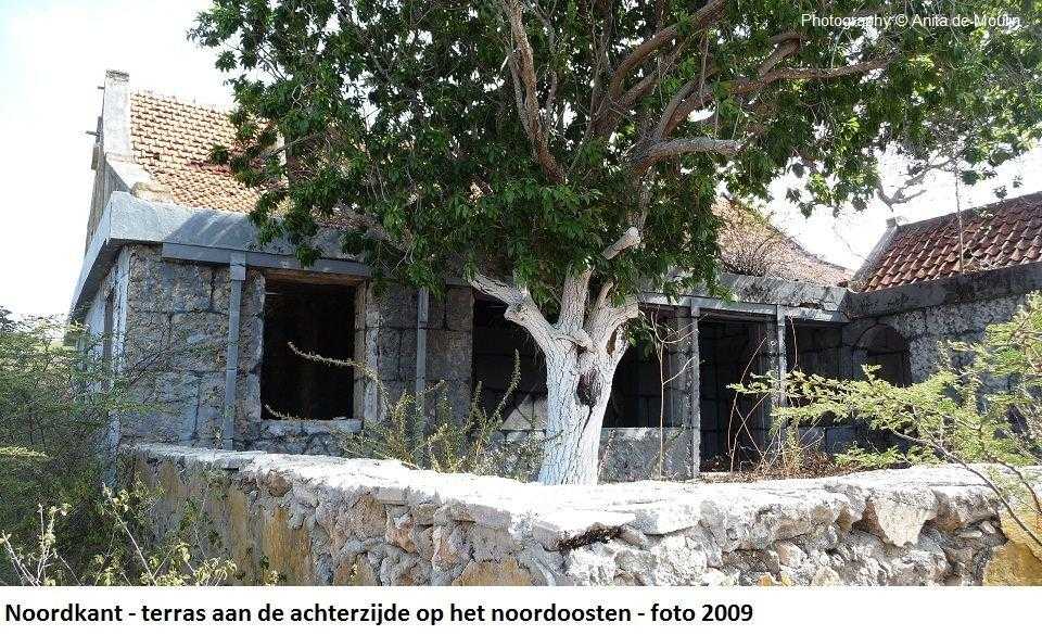 20. Noordkant terras aan de achterzijde op het noordoosten 2009